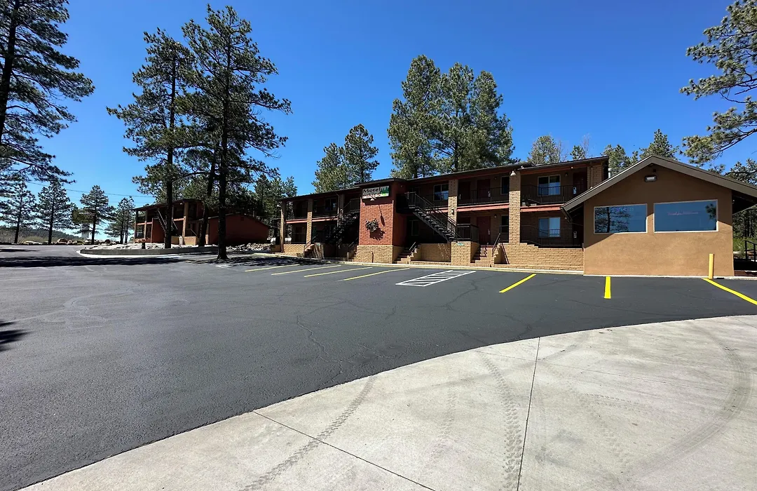 Motel In The Pines-1