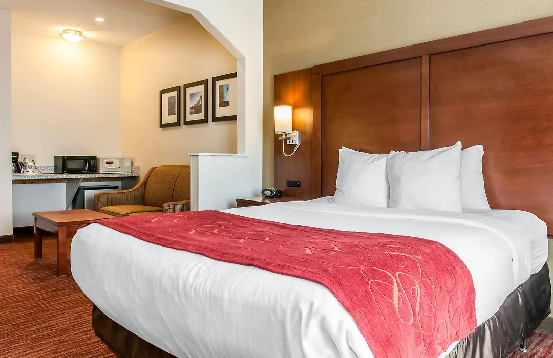 Comfort Suites Columbus Expo Center-1
