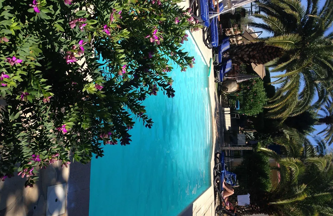 Hôtel Miramar-1