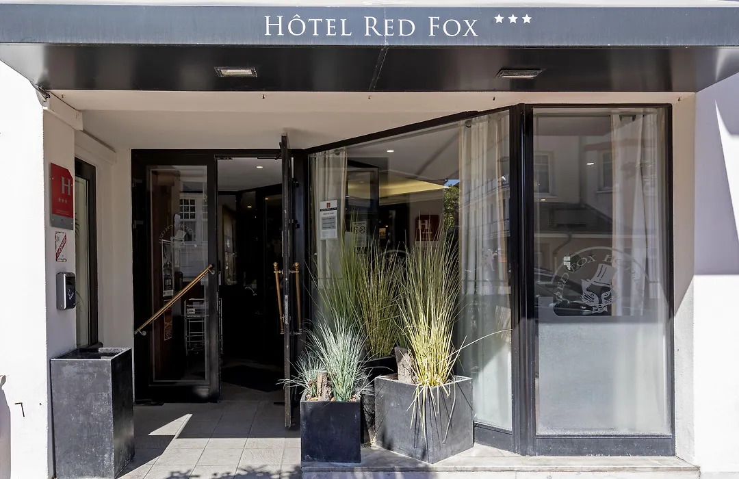 Red Fox-1