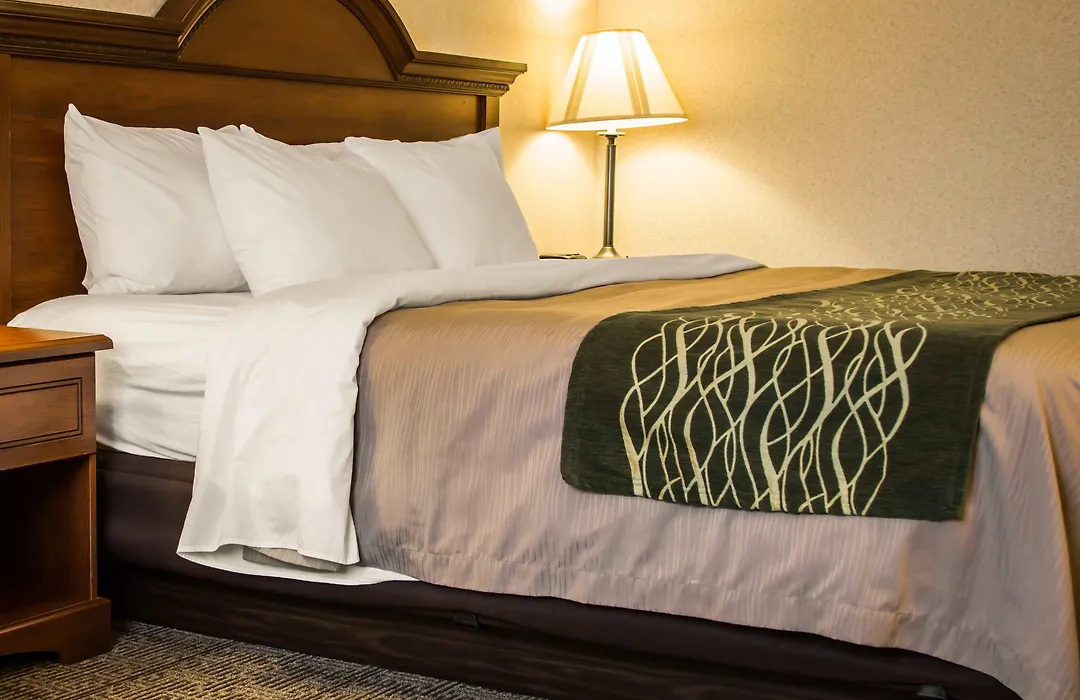 Comfort Inn & Suites Dimondale - Lansing-1