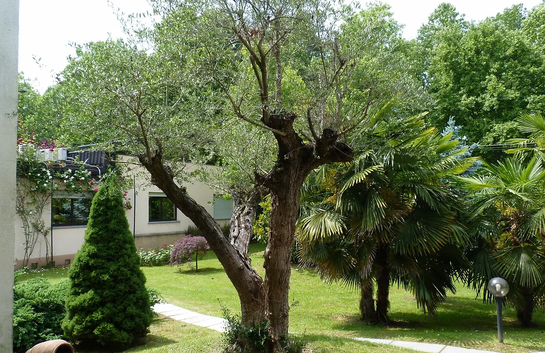 Parco Hotel Sassi-1