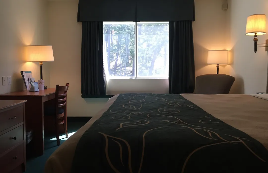 Travelodge By Wyndham Dunsmuir-1