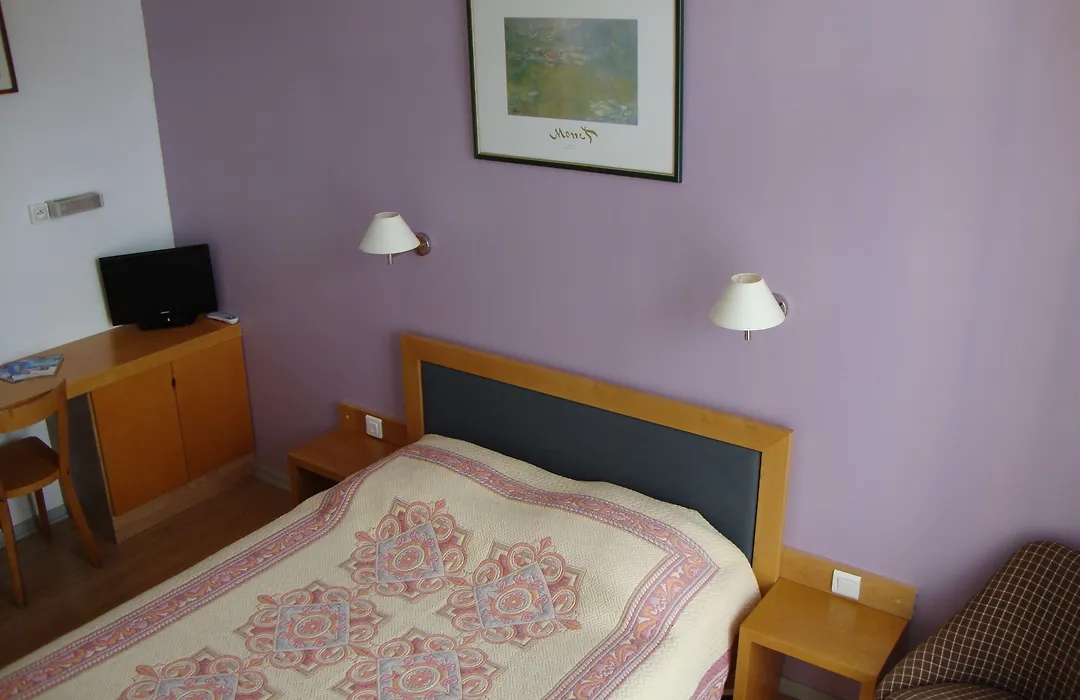 Hôtel Au Petit Languedoc-1