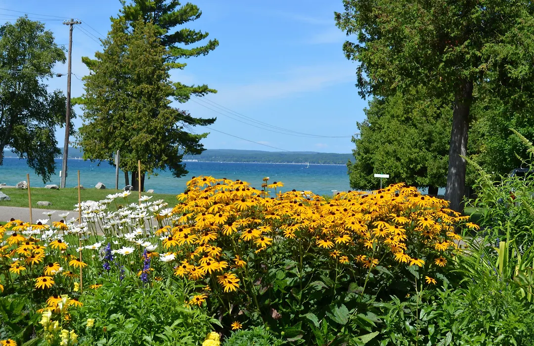 Stafford'S Bay View Inn-1