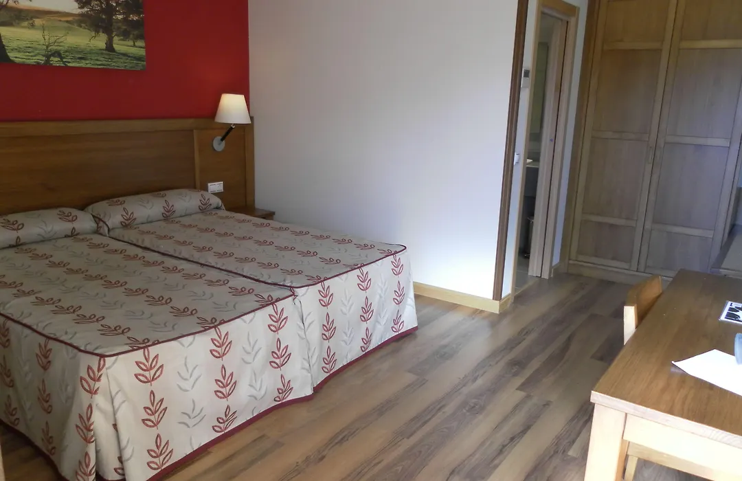 Hotel Milagros Rio Riaza-1