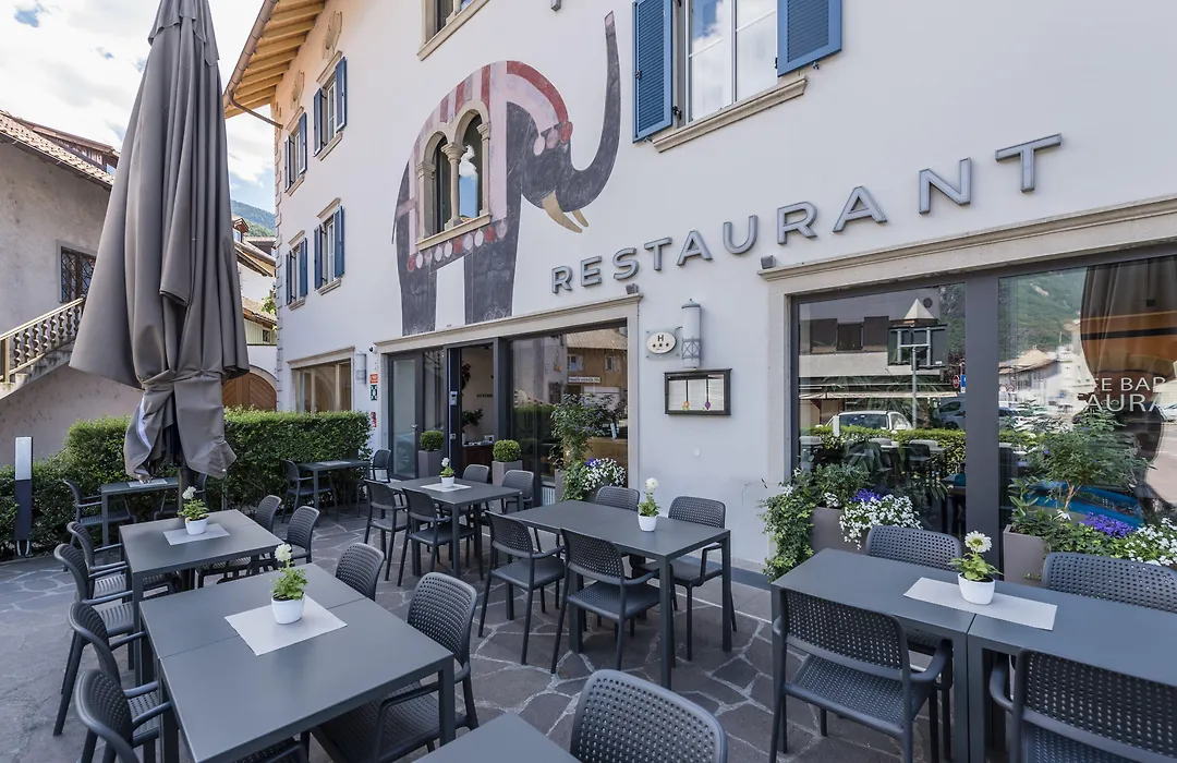Hotel Elefant-1