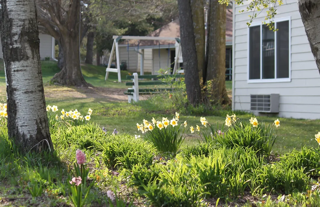 Parkwood Lodge-1