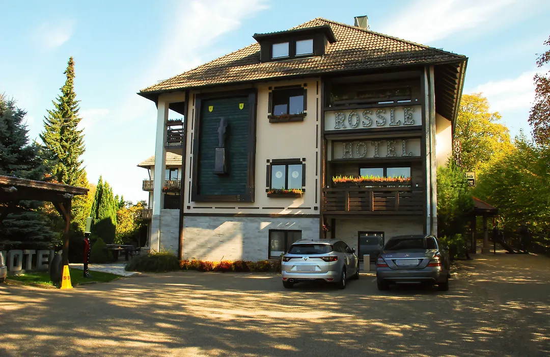 Hotel Roessle-1