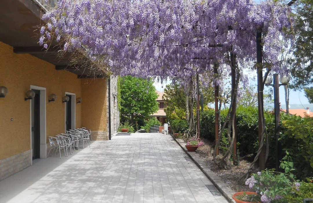 Hotel Colucci-1
