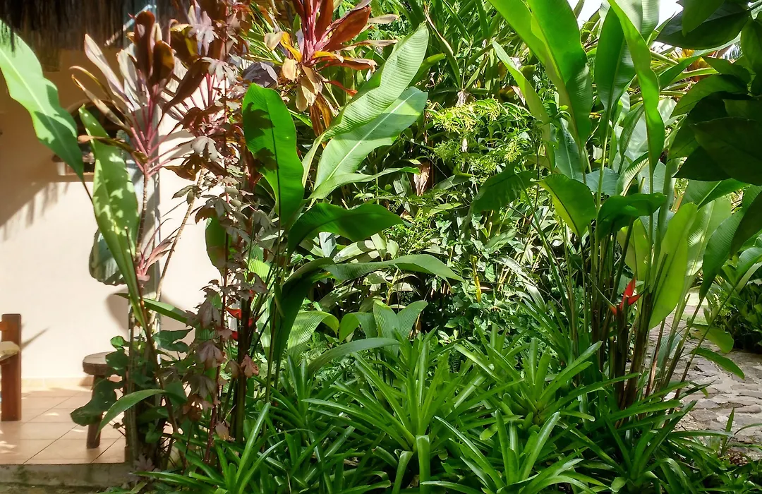 Pousada Magia Verde-1