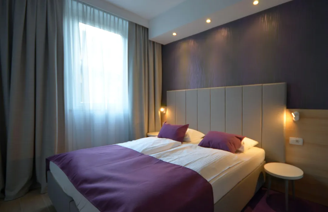 Hotel Emonec-1