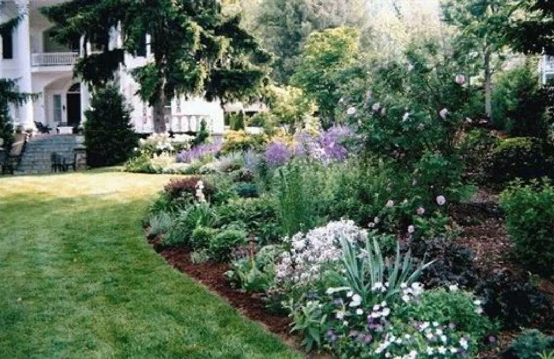 Albemarle Inn - Asheville-1