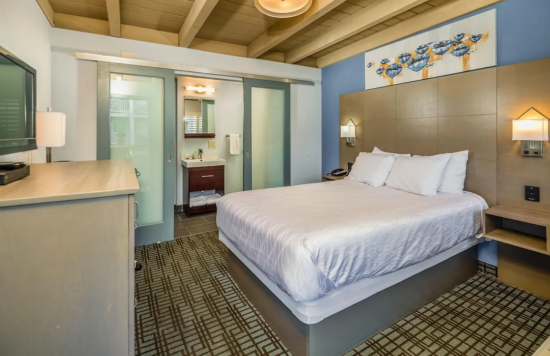 Silicon Valley Inn-1
