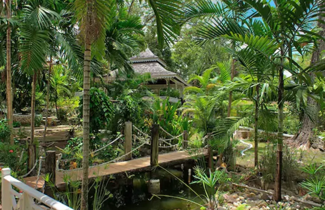 Hibiscus Lodge Hotel-1
