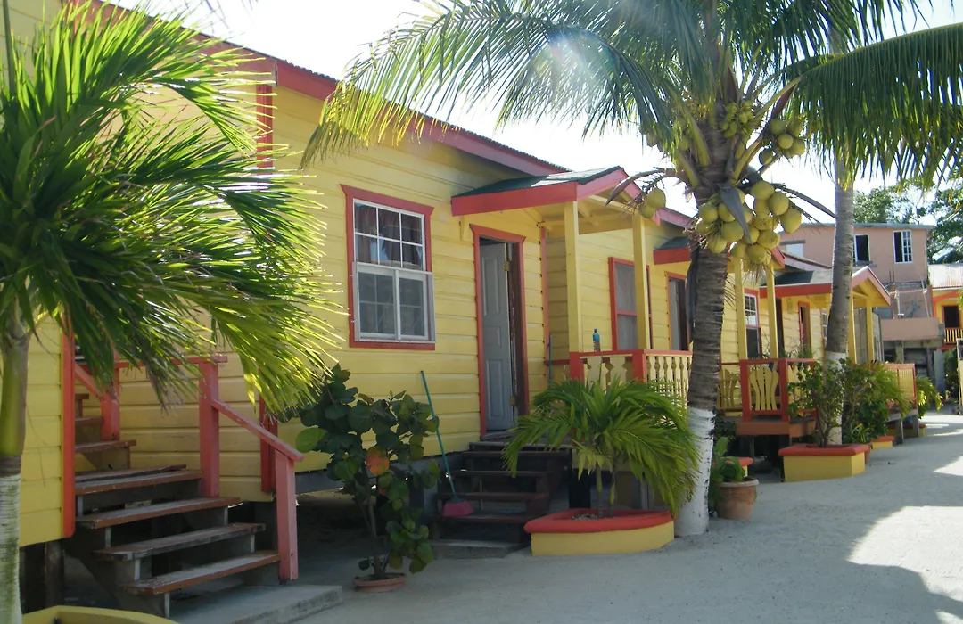 Tropical Paradise-1