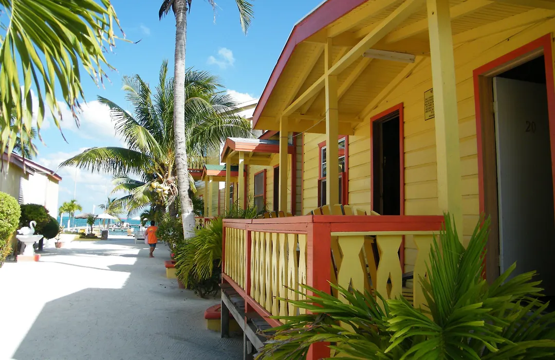 Tropical Paradise-1