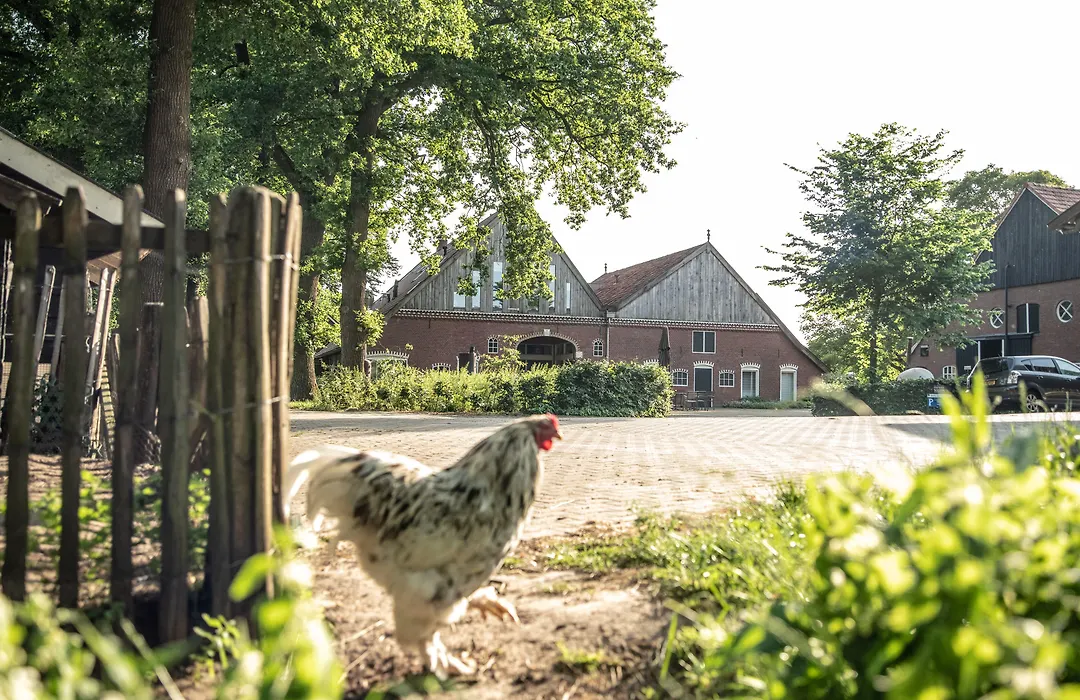 Erfgoed Bossem-1