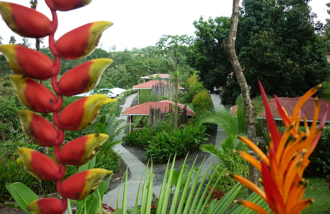 Hotel Cerro Lodge-1
