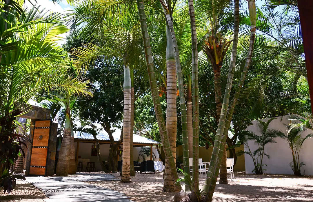 La Margarita-1