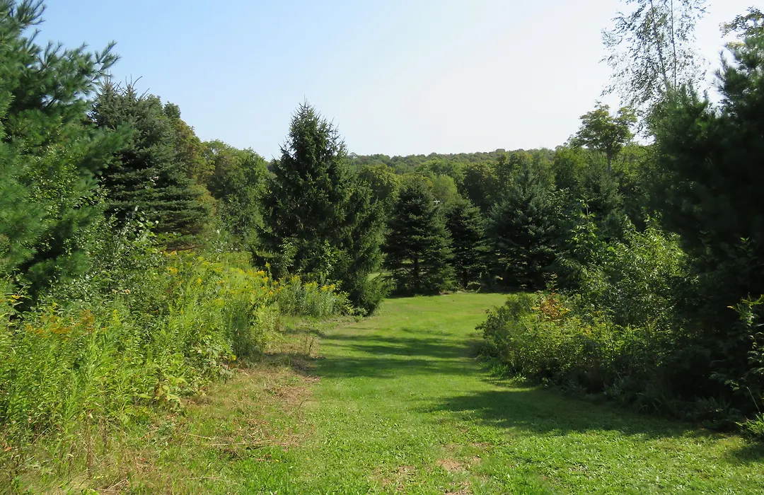Tug Hill Resort-1