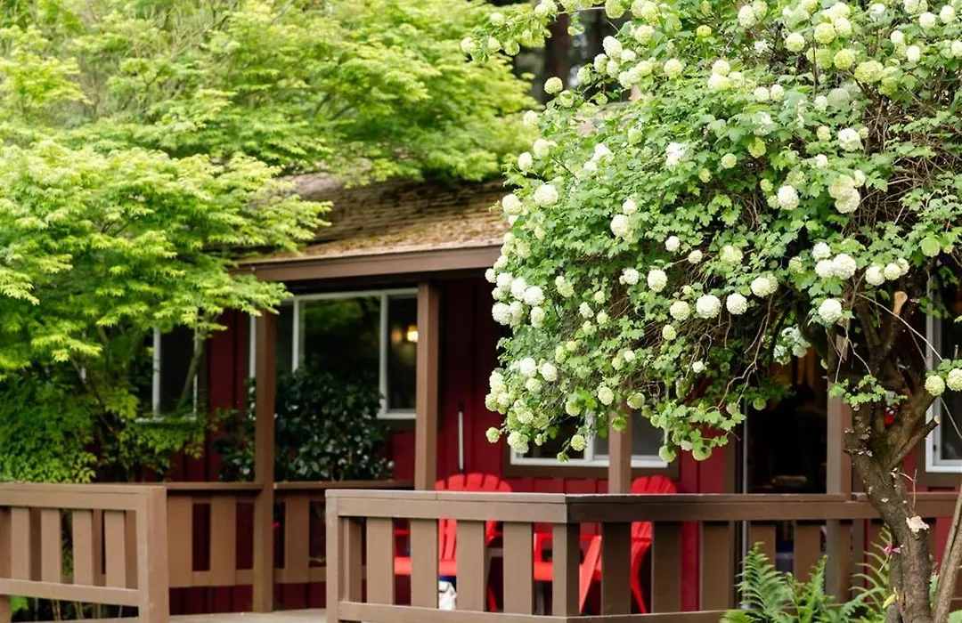 Fern River Resort-1