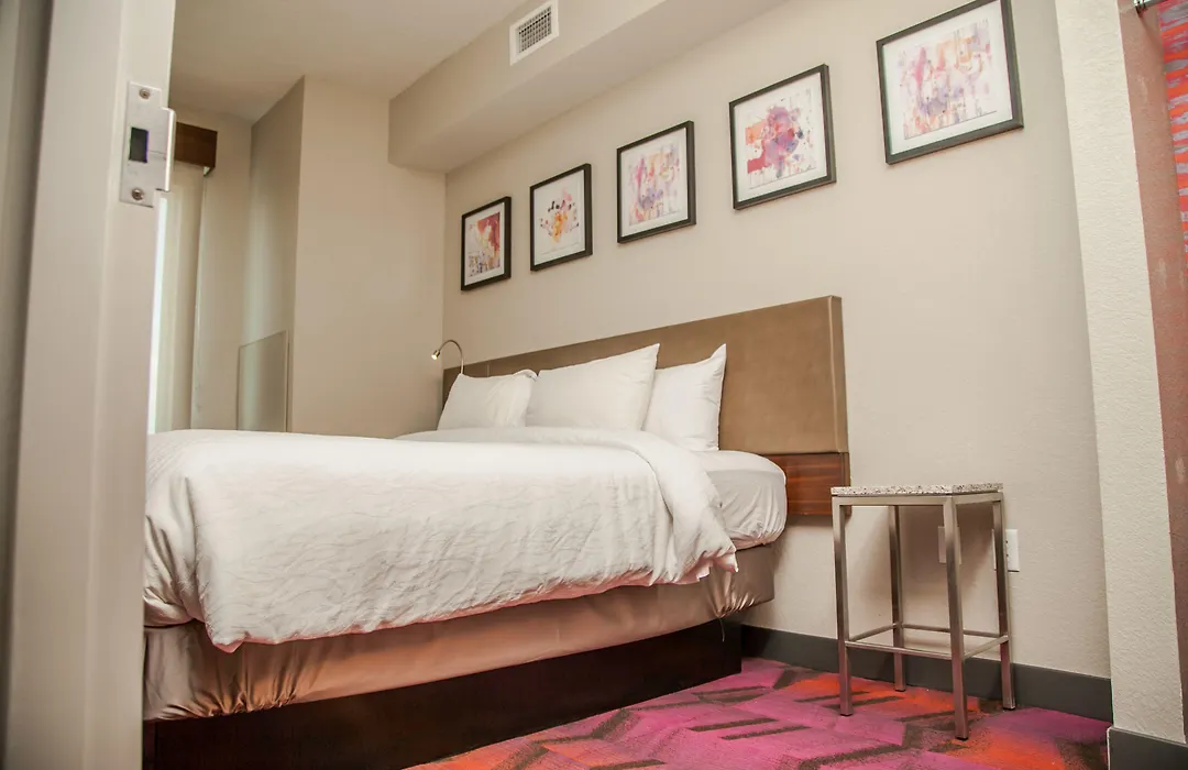 Hilton Garden Inn Tampa Suncoast Parkway-1