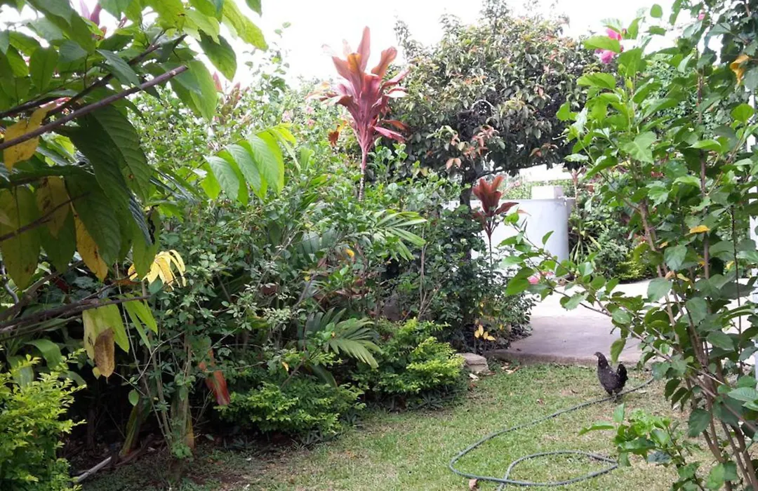 Dayspring Lodge-1