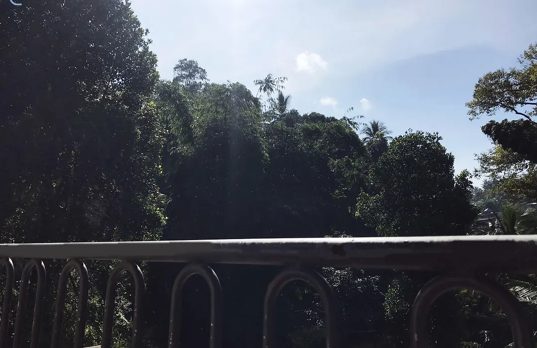 Cloud Inn Kandy Homestay - Near Temple Of Tooth - Free Pickup From Kandy City If 2Ngt-1