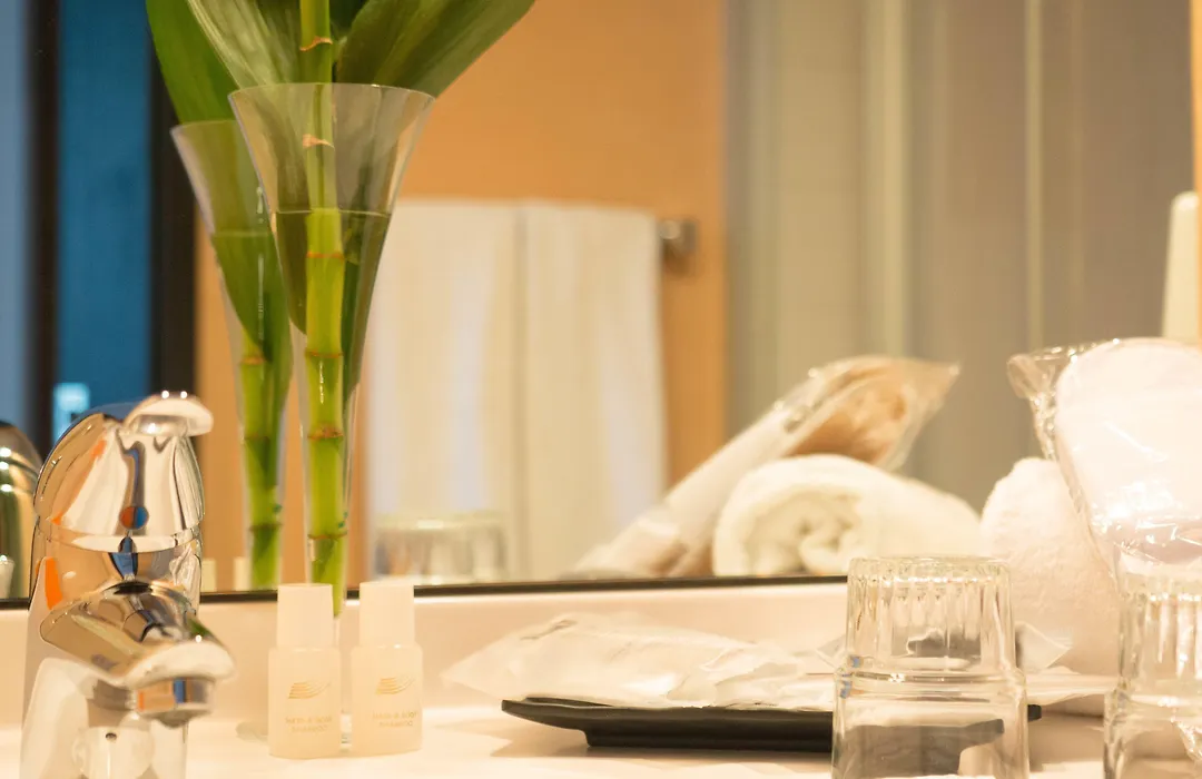 Hotel Primula-1