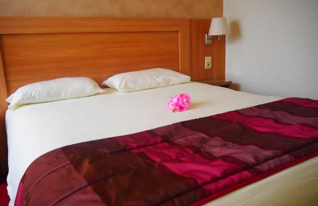 Brit Hotel Confort Castres-1