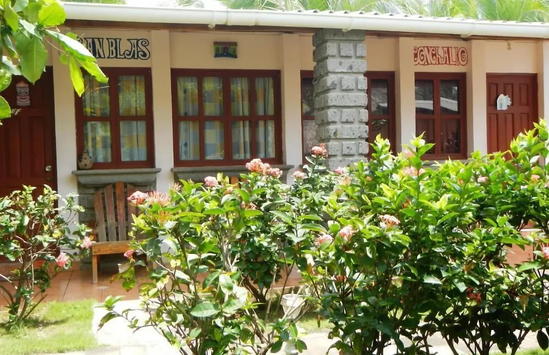 Punta Roca Surf Resort-1