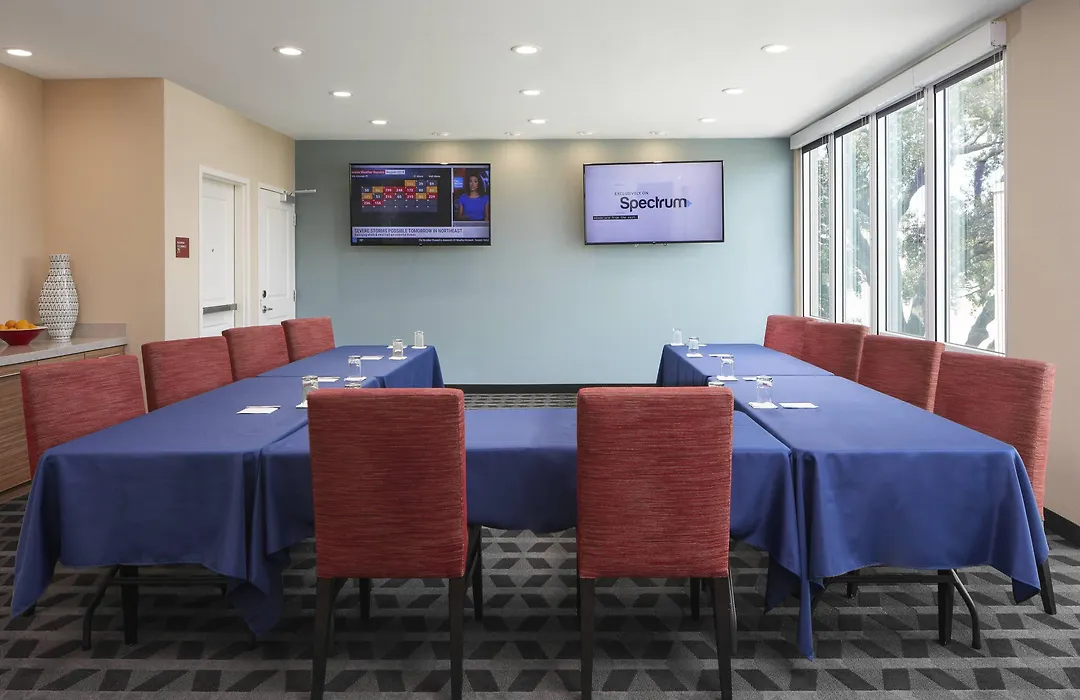 Towneplace Suites By Marriott Tampa South-1