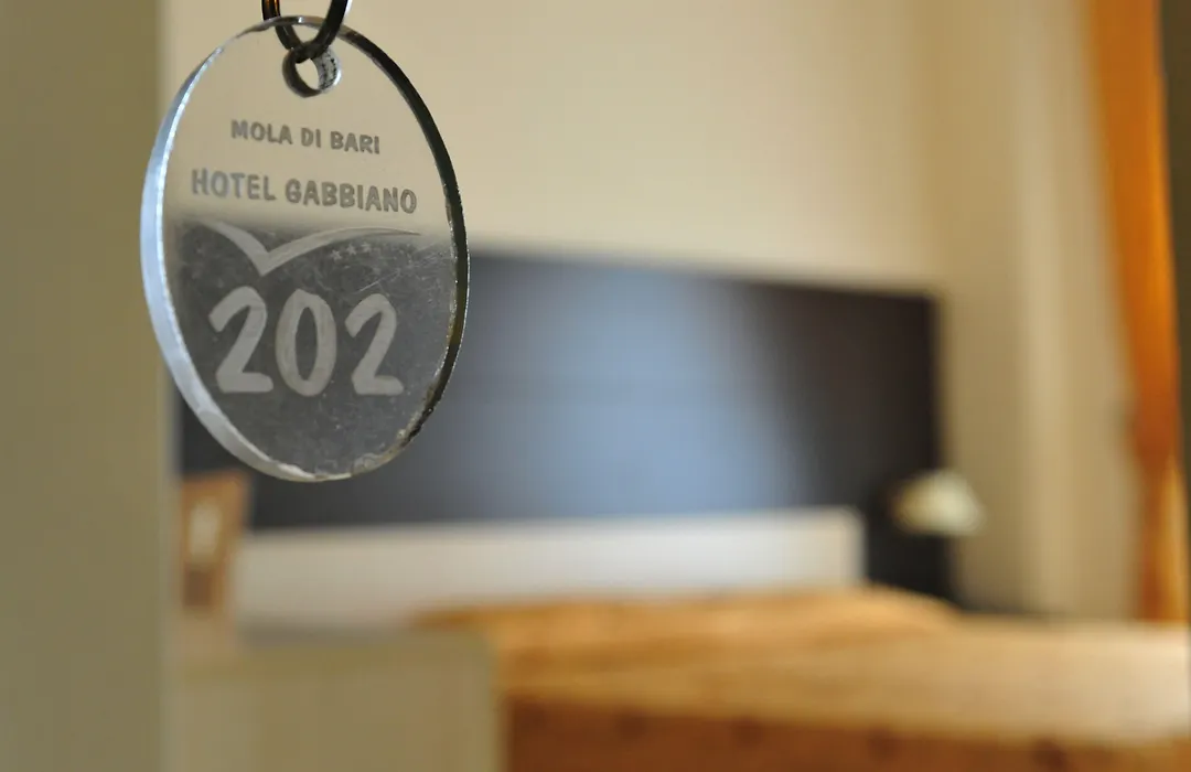 Hotel Gabbiano-1