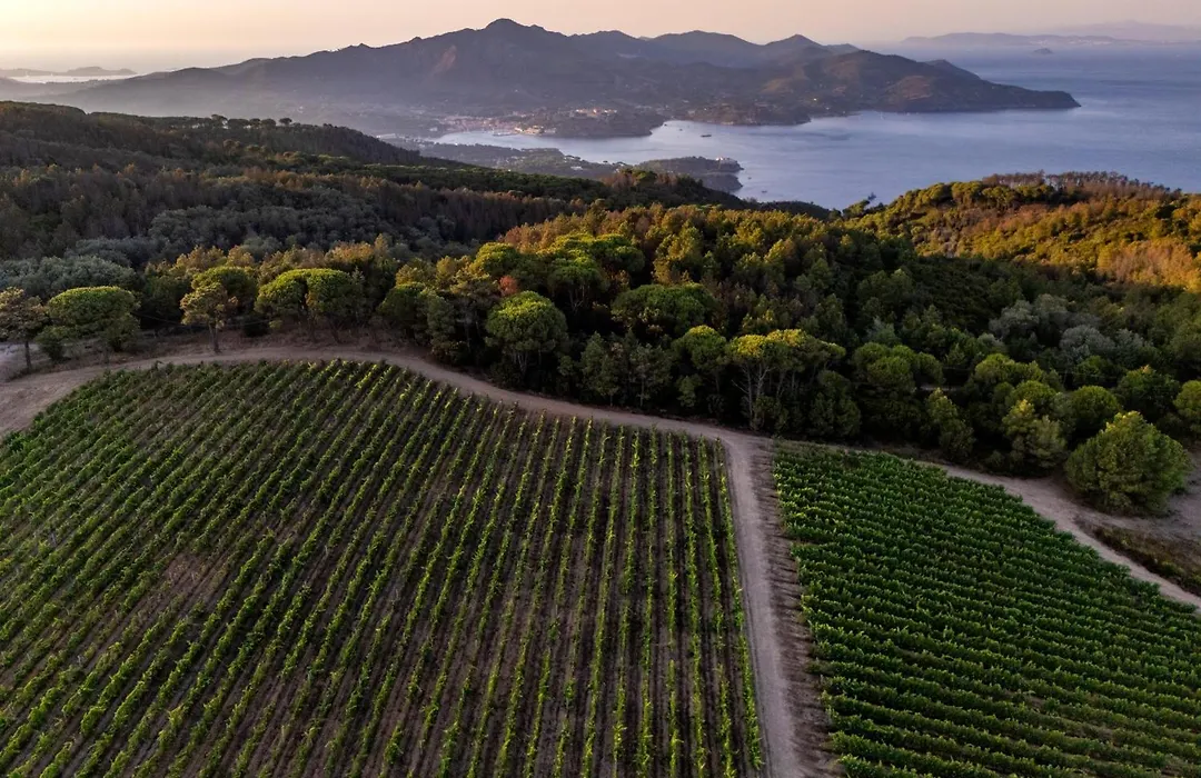 Tenuta Delle Ripalte-1