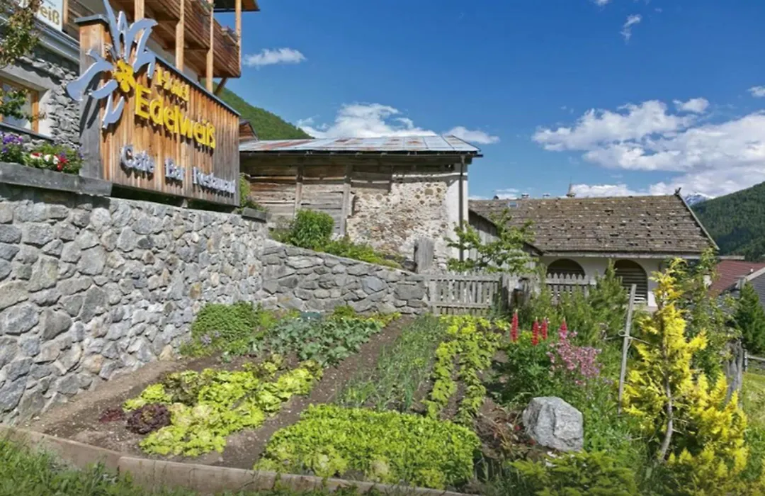 Hotel Edelweiss-1