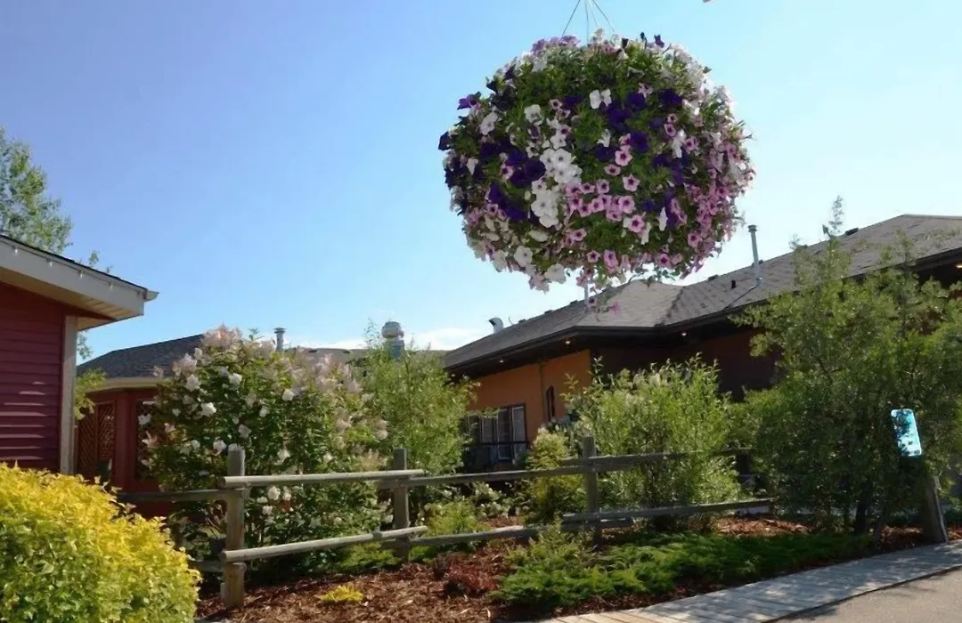 Village Creek Country Inn-1