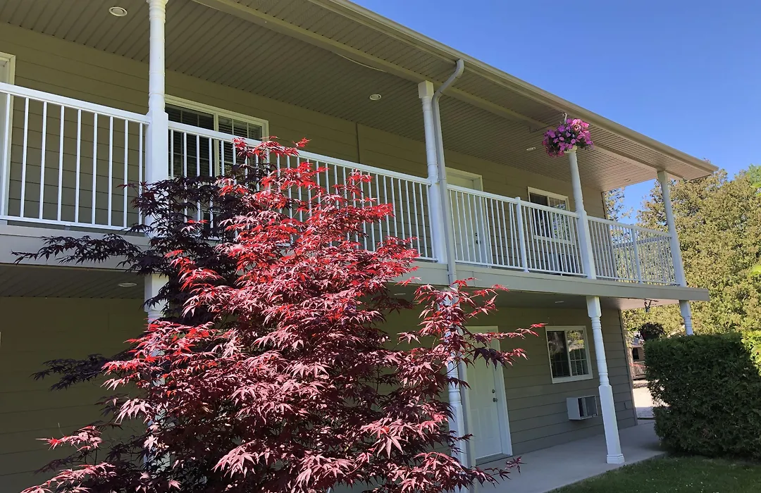 Adventure The Bruce Inn - Recently Renovated With Outdoor Hot Tub-1