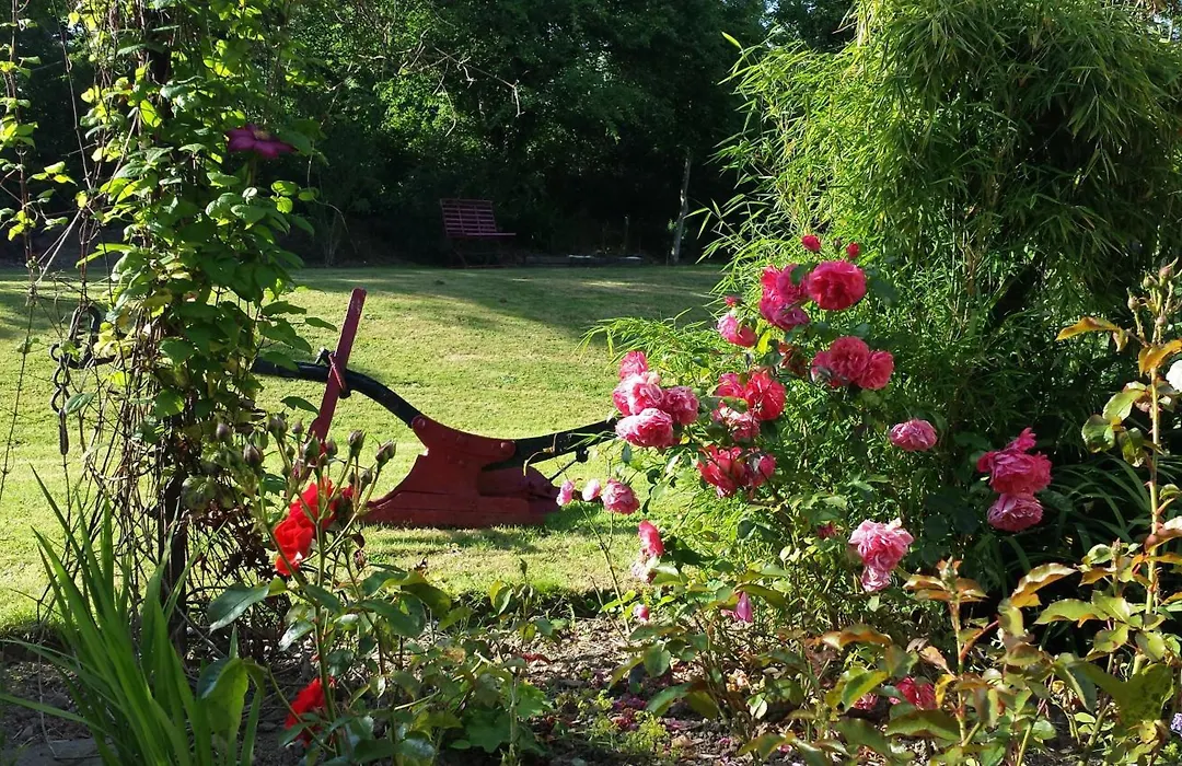 Riverfield Bed And Breakfast-1