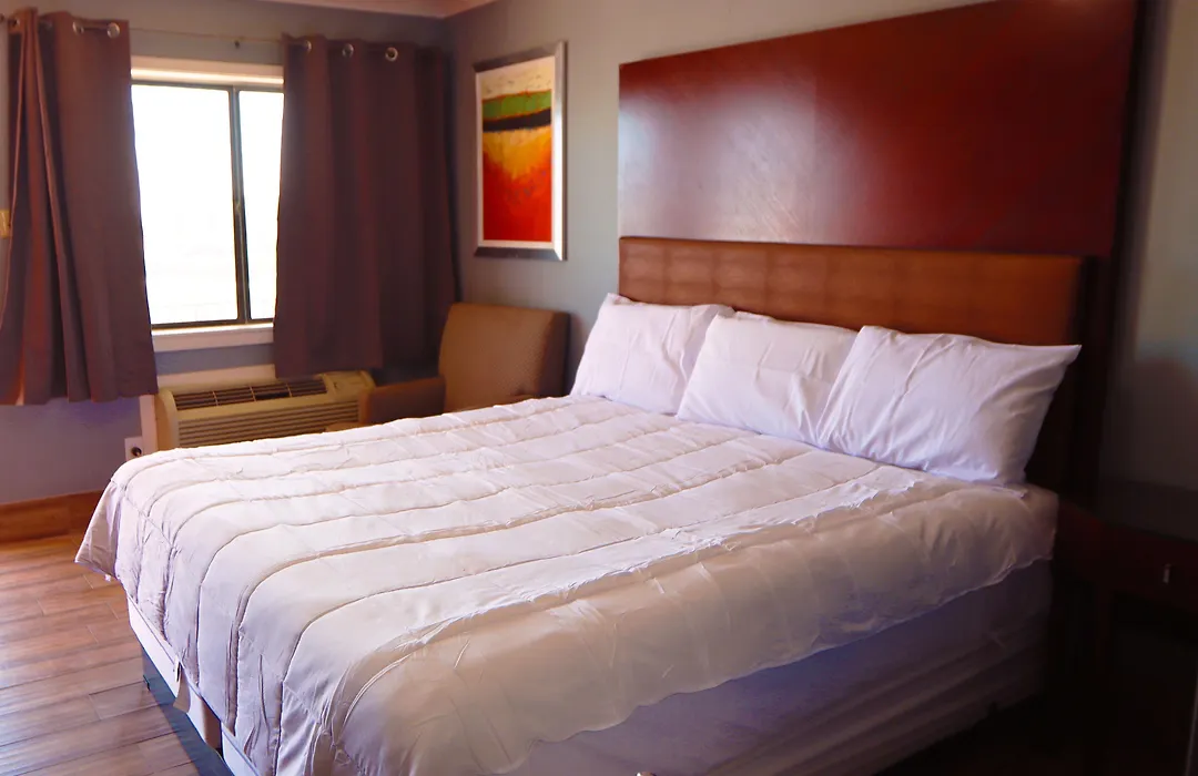 Studio Suites-1