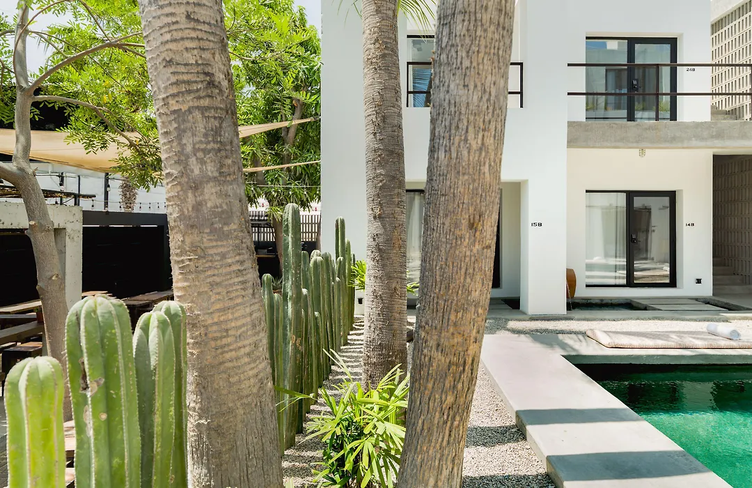 Drift San Jose Del Cabo, A Member Of Design Hotels-1
