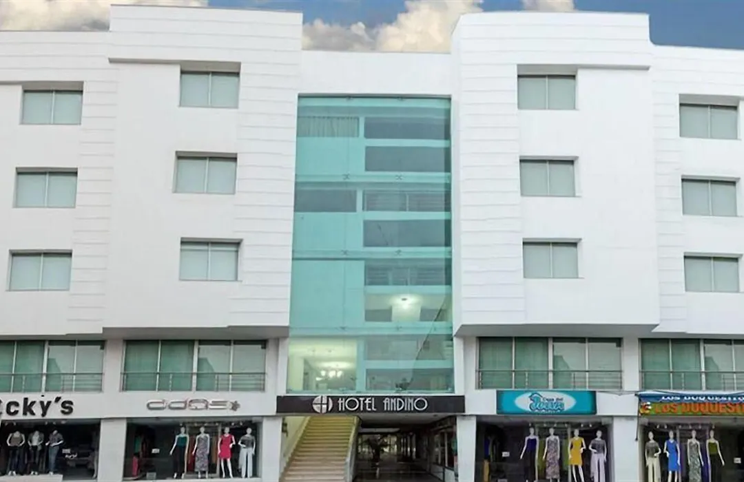 Hotel Andino-1