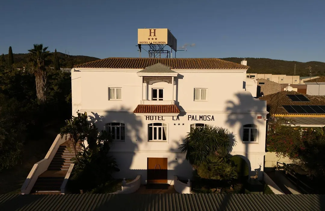 La Palmosa-1