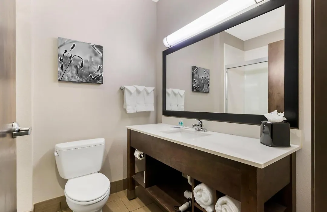 Comfort Inn & Suites-1