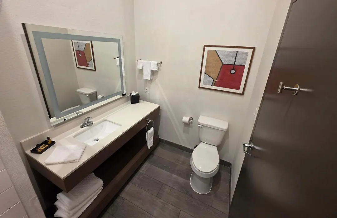 Wingate By Wyndham Austin North - Round Rock-1