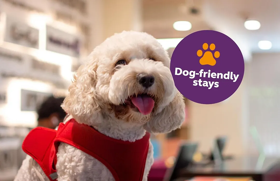 Premier Inn Dubai Silicon Oasis - An Emirates Group Company-1
