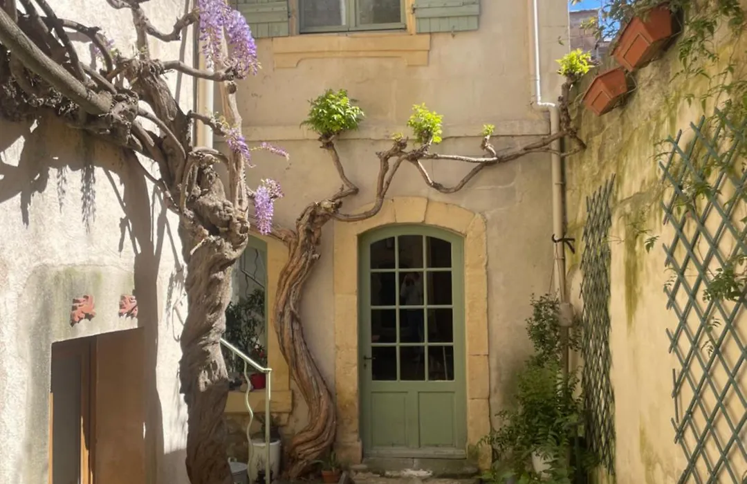 Le Patio d'Arles-1