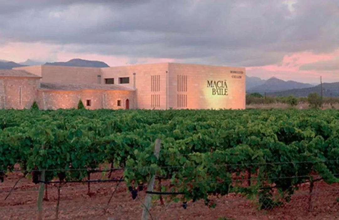 Agroturisme Sa Torre (Adults Only)-1