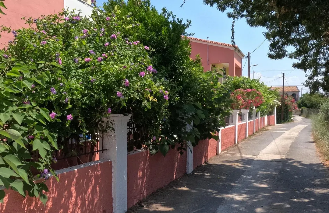 Antigoni Apartments-1