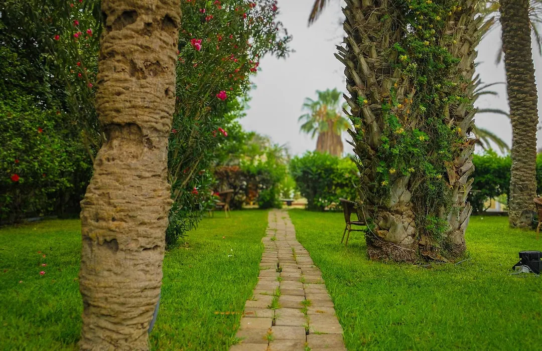 Hamilton Agadir-1